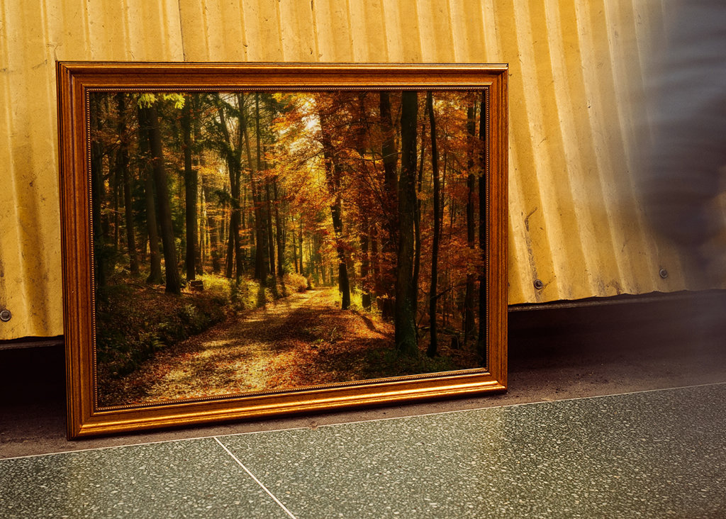 Um caminho na floresta de outono