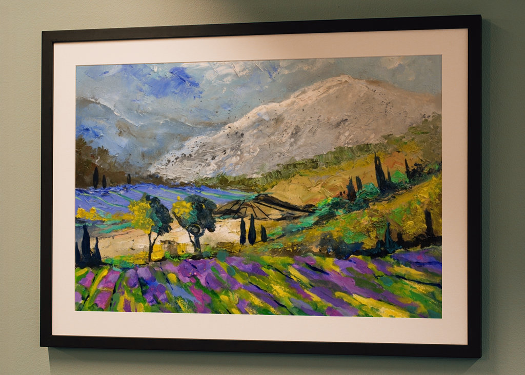 Lavendel in der Provence