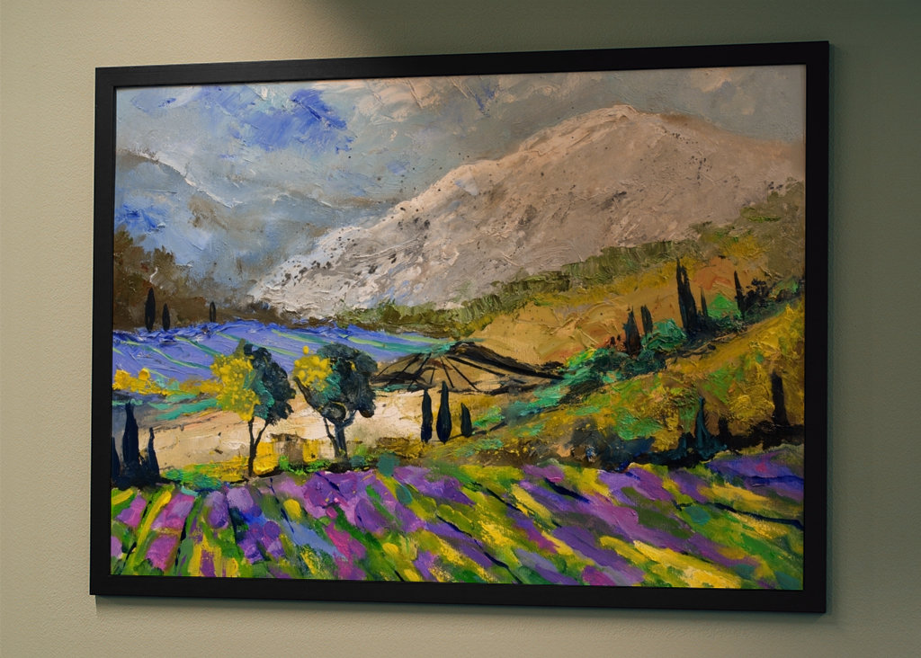 Lavendel in der Provence