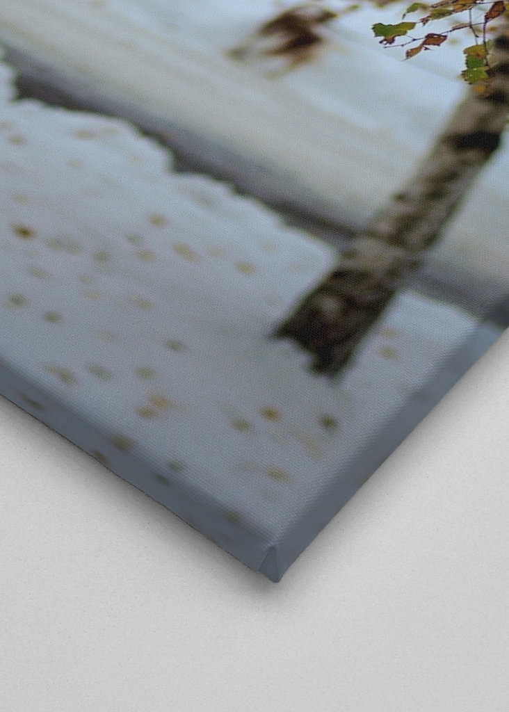 Quand les saisons s’affrontent...