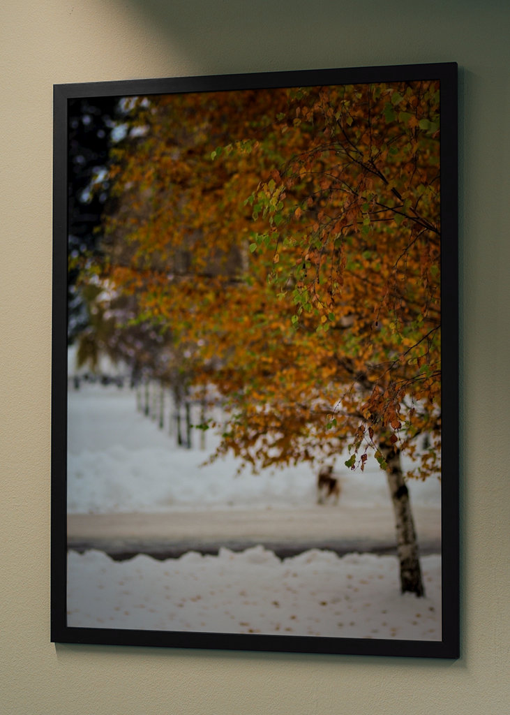 Quand les saisons s’affrontent...