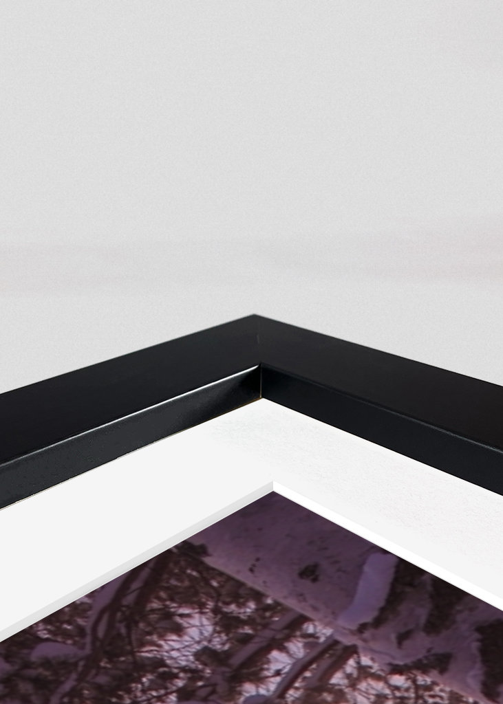 Mglisty mroźny dzień