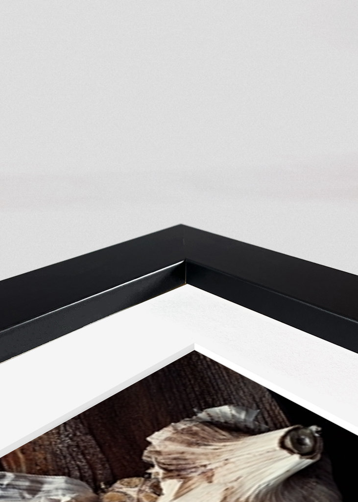 olivenolie med urter