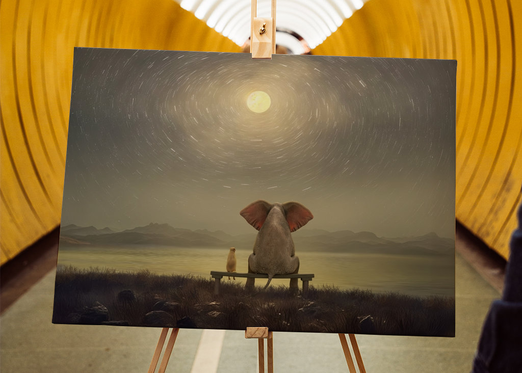 Elefante y perro por la noche