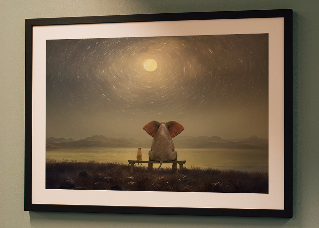 Elefante y perro por la noche