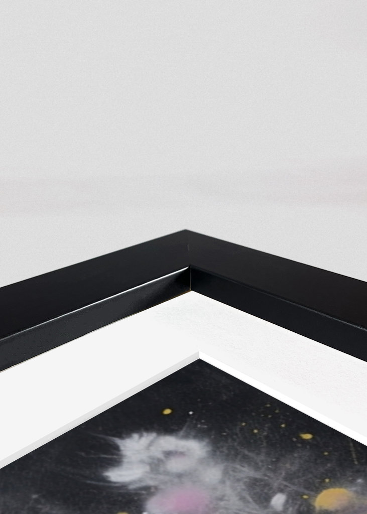 Kachna x Grafitti ♀