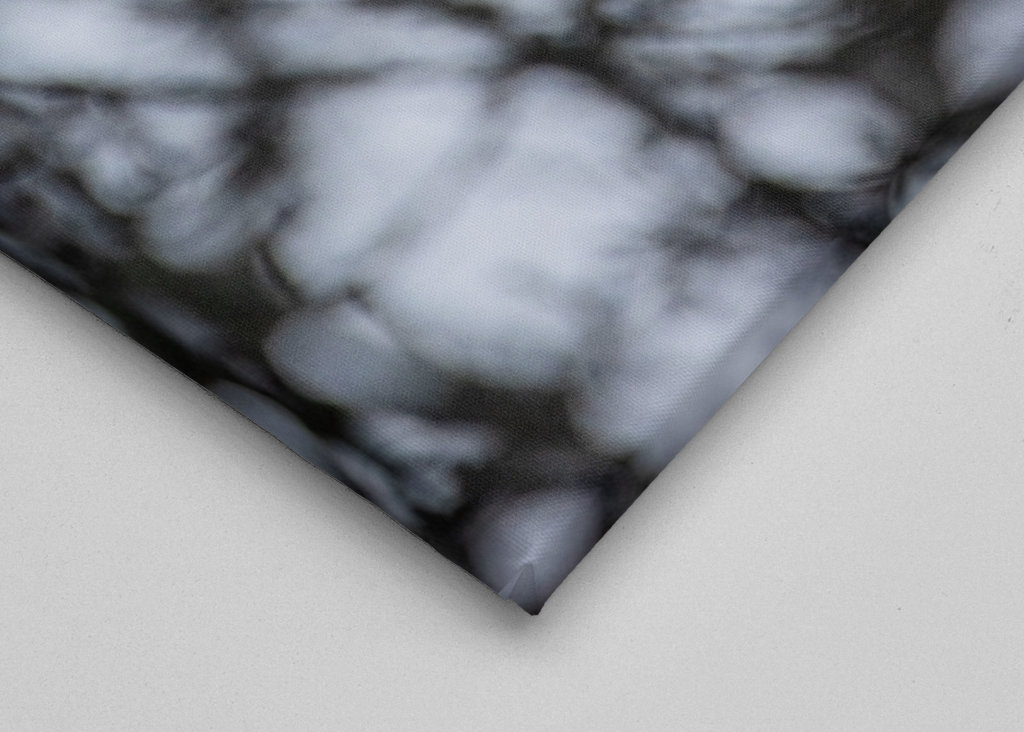 Great Spotted Woodpecker