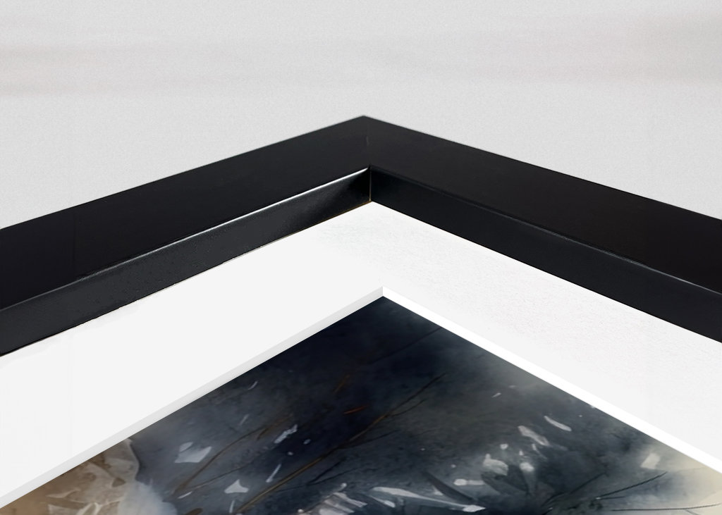 Mini Cooper Monaco Rallye