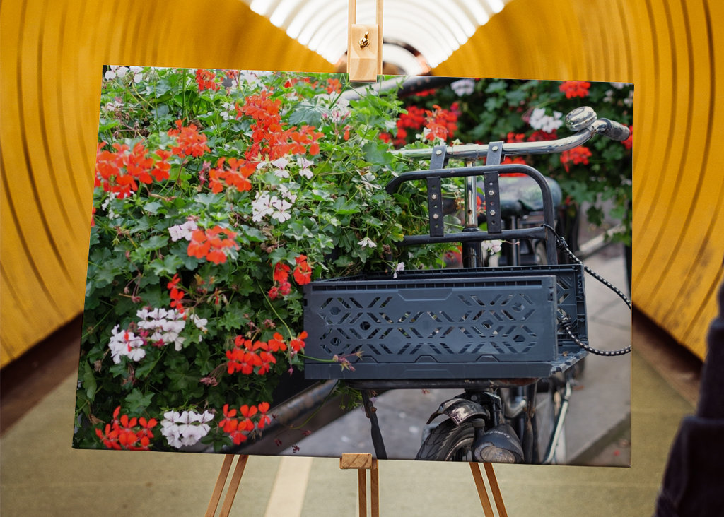 Blumen und ein Fahrrad 