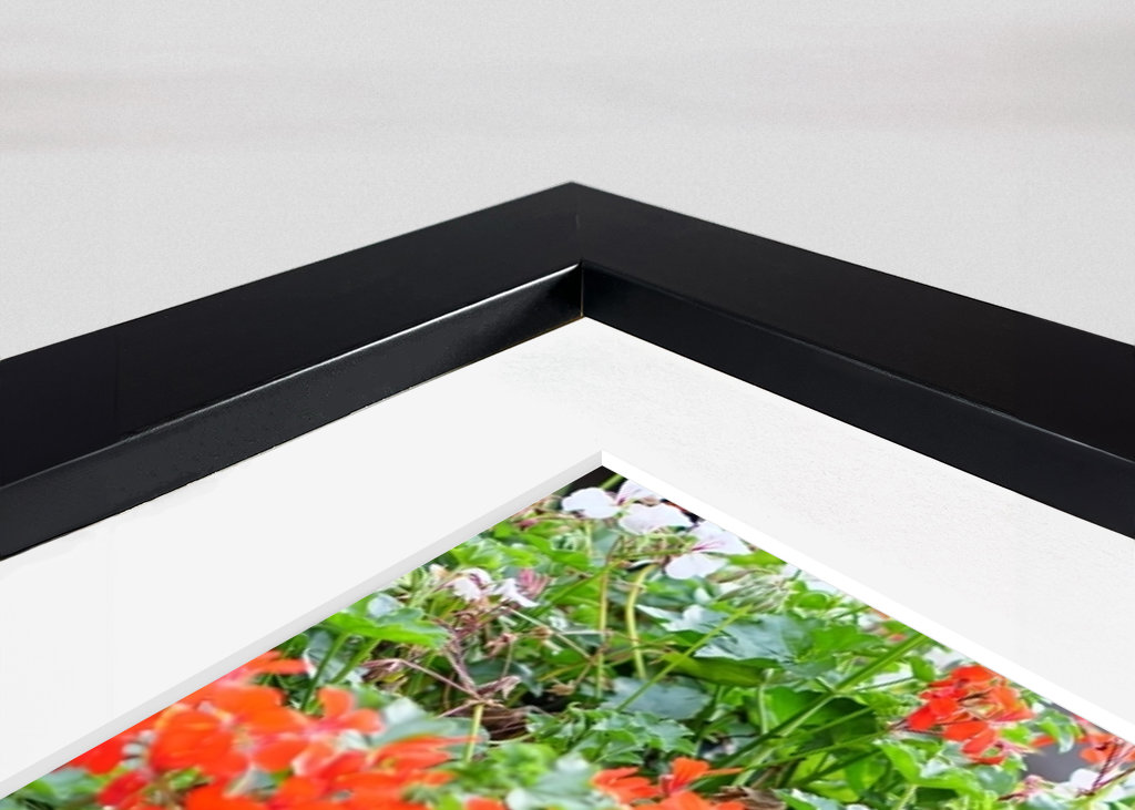 Blumen und ein Fahrrad 