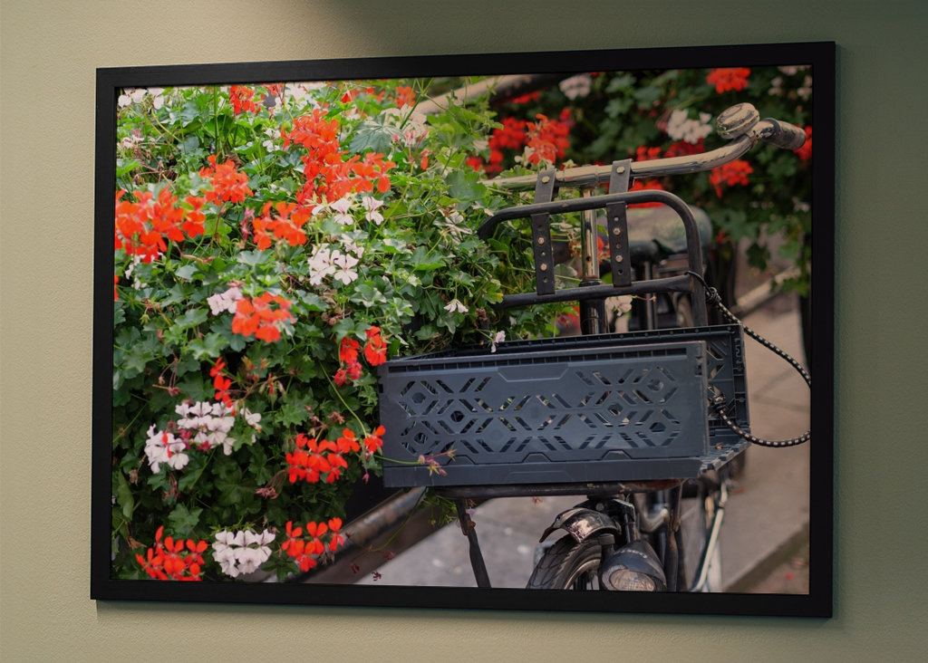 Blumen und ein Fahrrad 