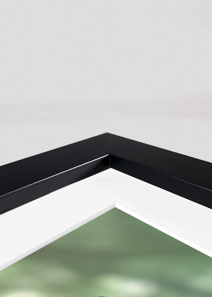 Black Panther in the Jungle V2