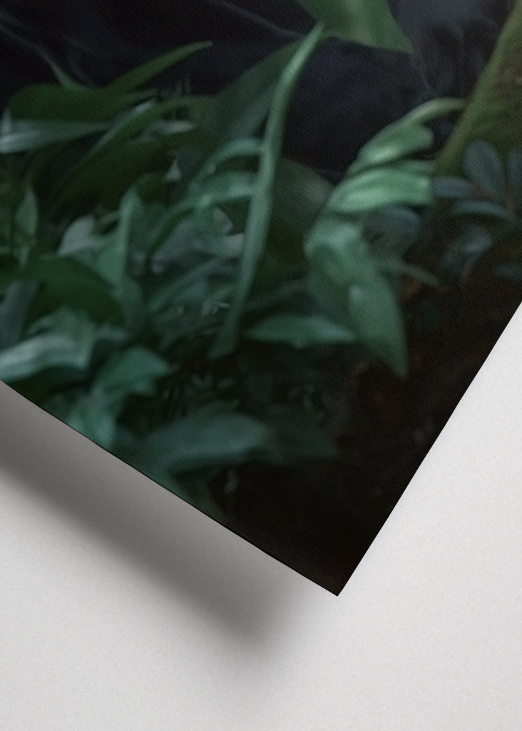 Black Panther in the Jungle V2