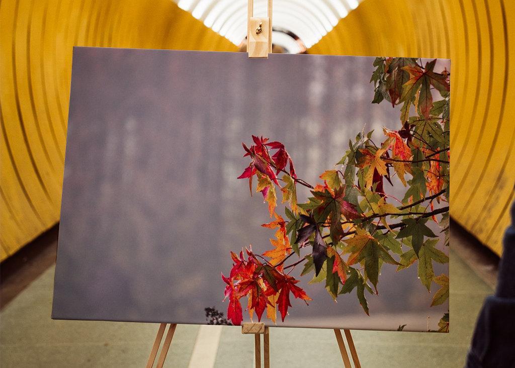 Autumn magic: blaze of colors