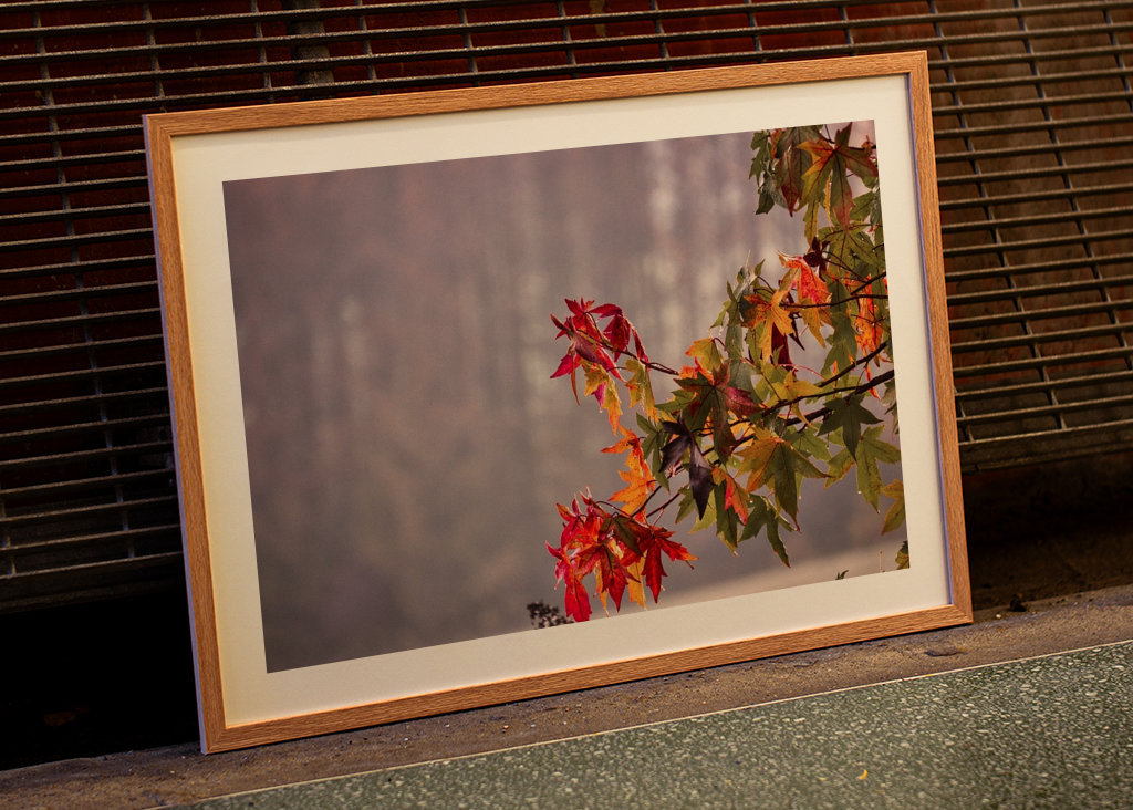 Autumn magic: blaze of colors