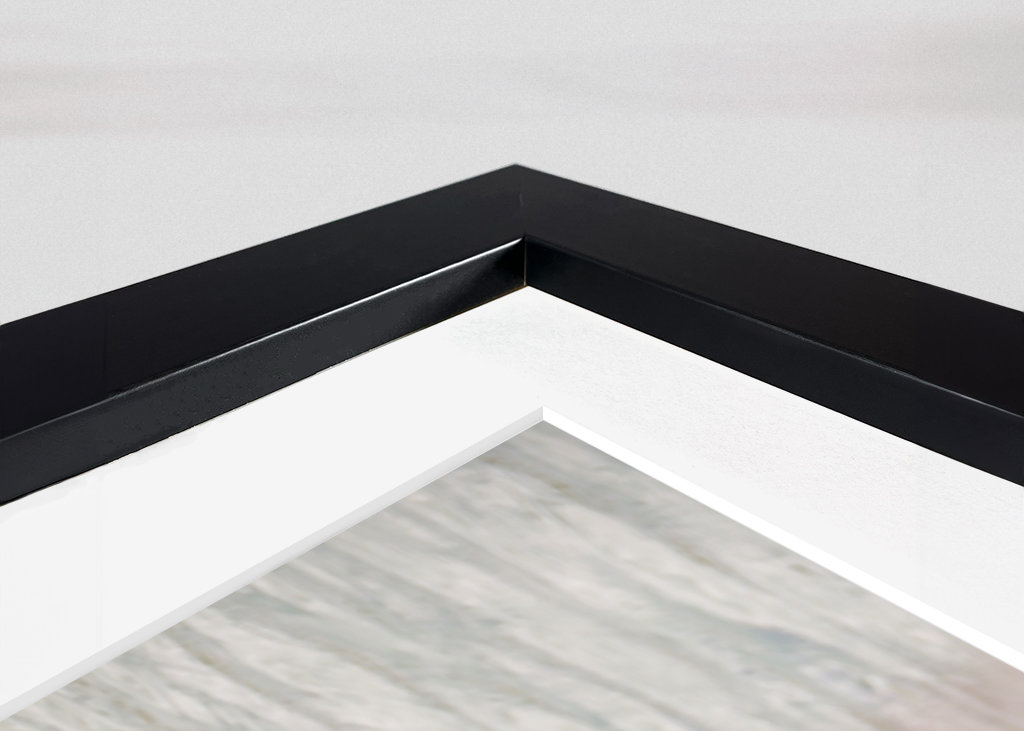 Three white mallard ducks