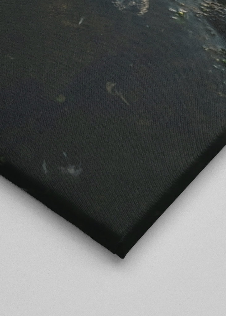 Zeetong aan zee in Smögen