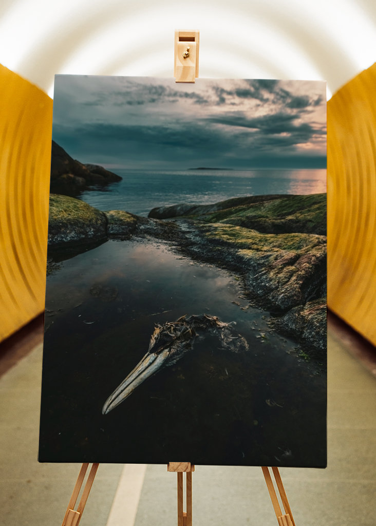 Zeetong aan zee in Smögen