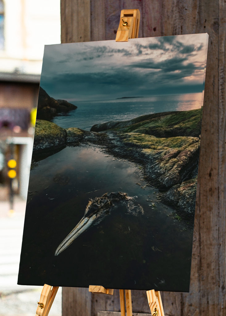 Zeetong aan zee in Smögen