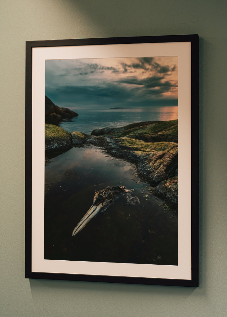 Zeetong aan zee in Smögen