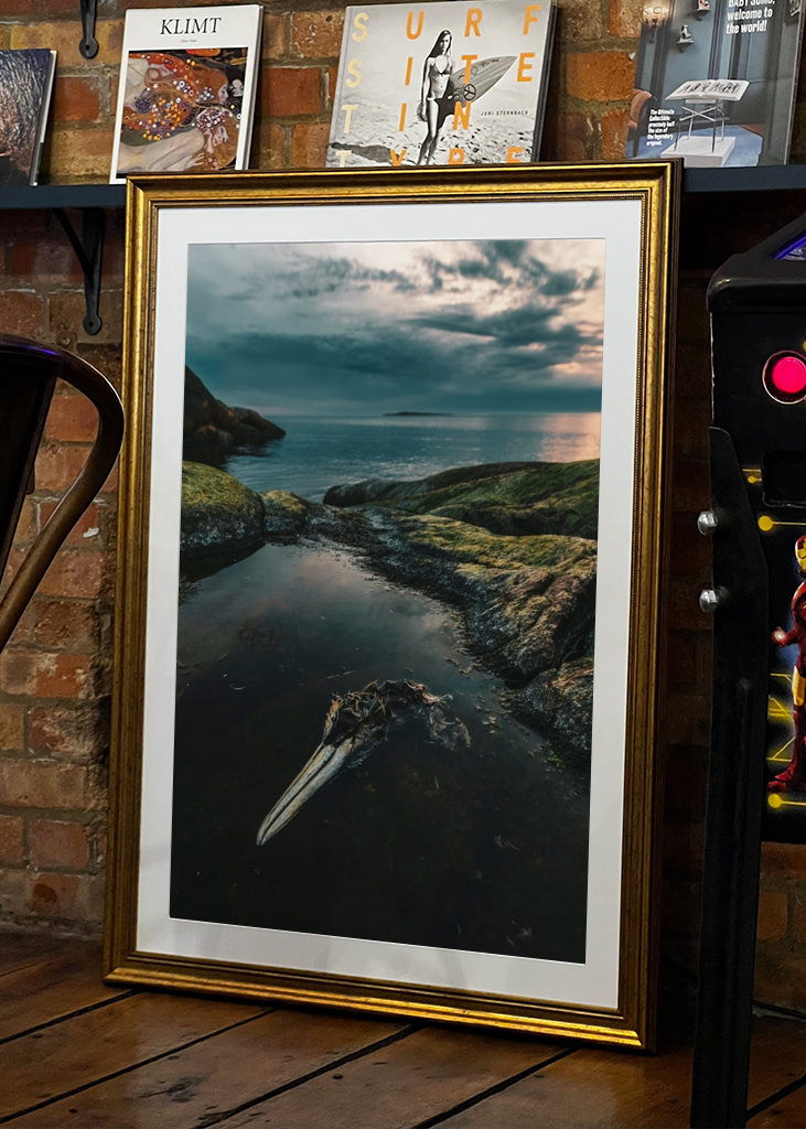 Zeetong aan zee in Smögen