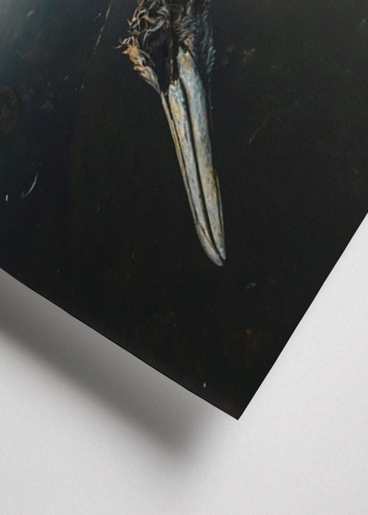 Zeetong aan zee in Smögen