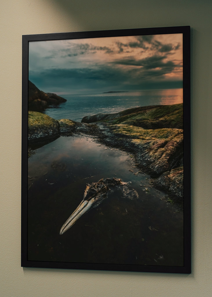 Zeetong aan zee in Smögen