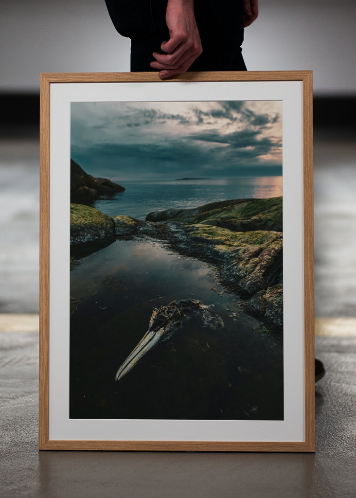 Zeetong aan zee in Smögen