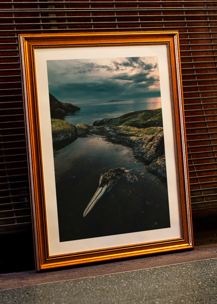Zeetong aan zee in Smögen