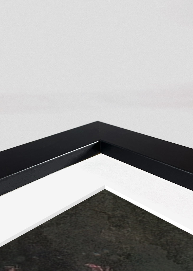 Snake Girl 4 -Medusa Serie