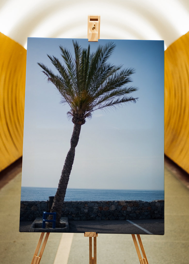 Palma lutande ve Španělsku