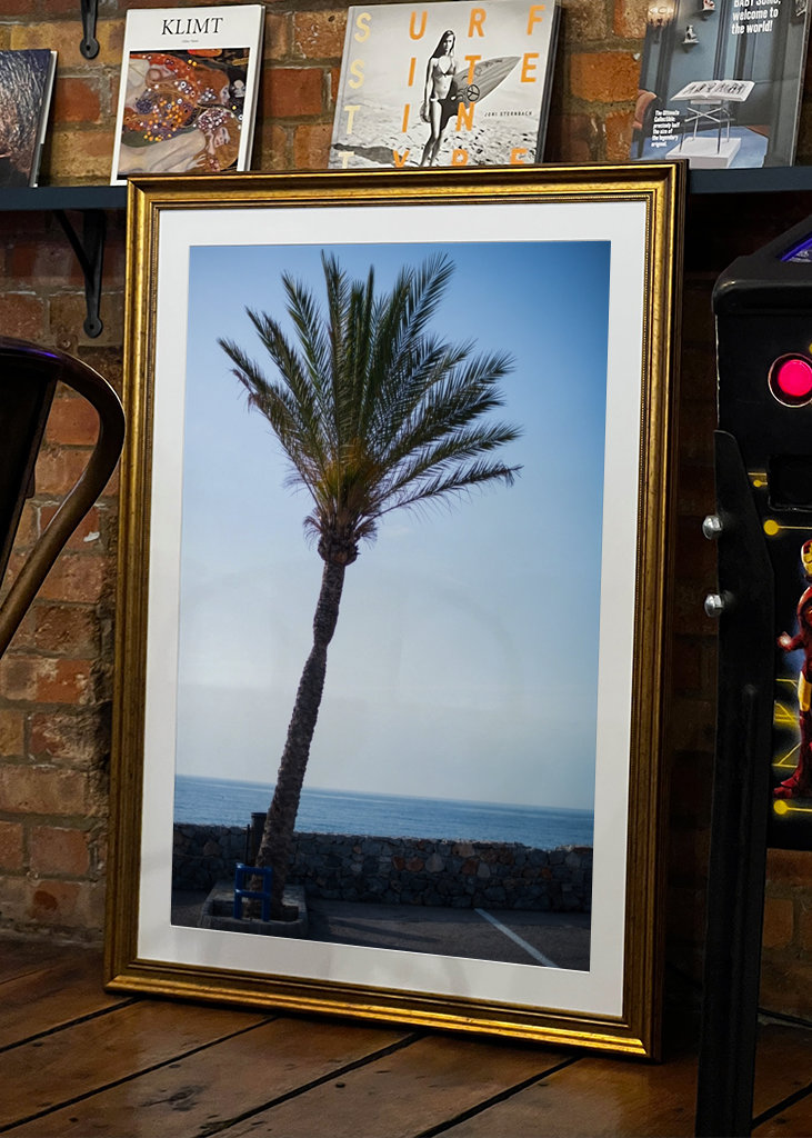 Palma lutande ve Španělsku