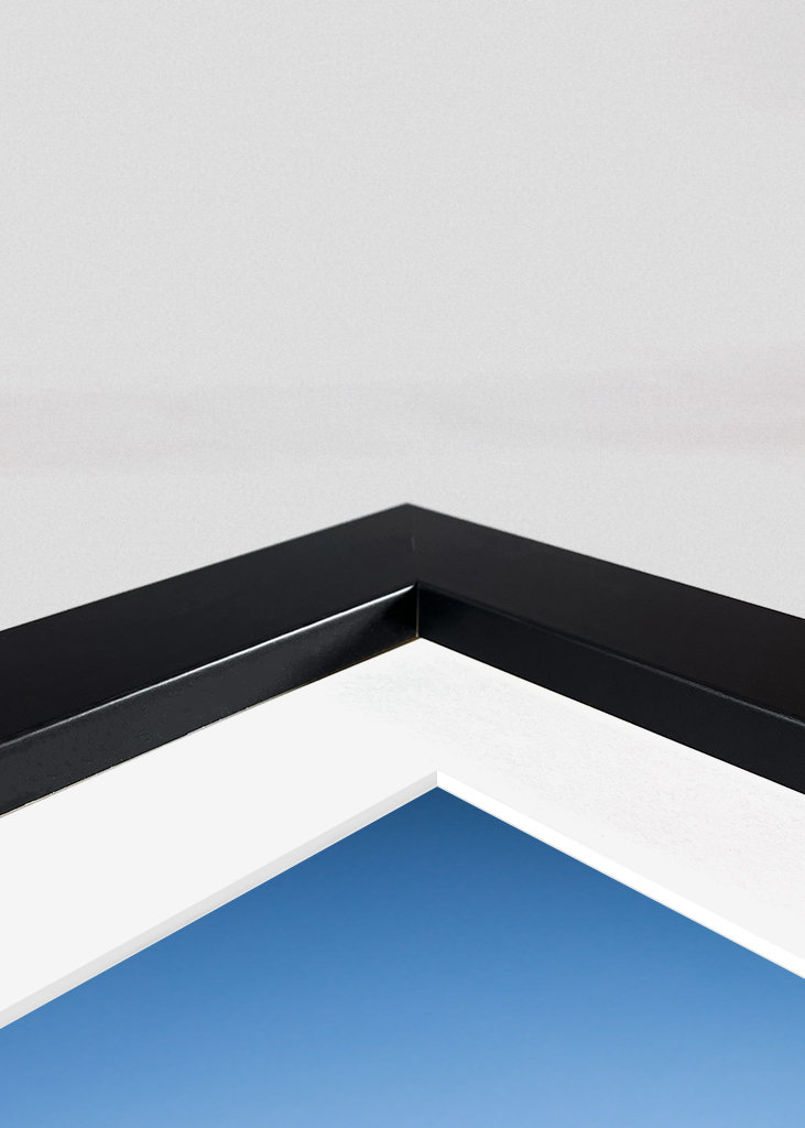 Palma lutande ve Španělsku