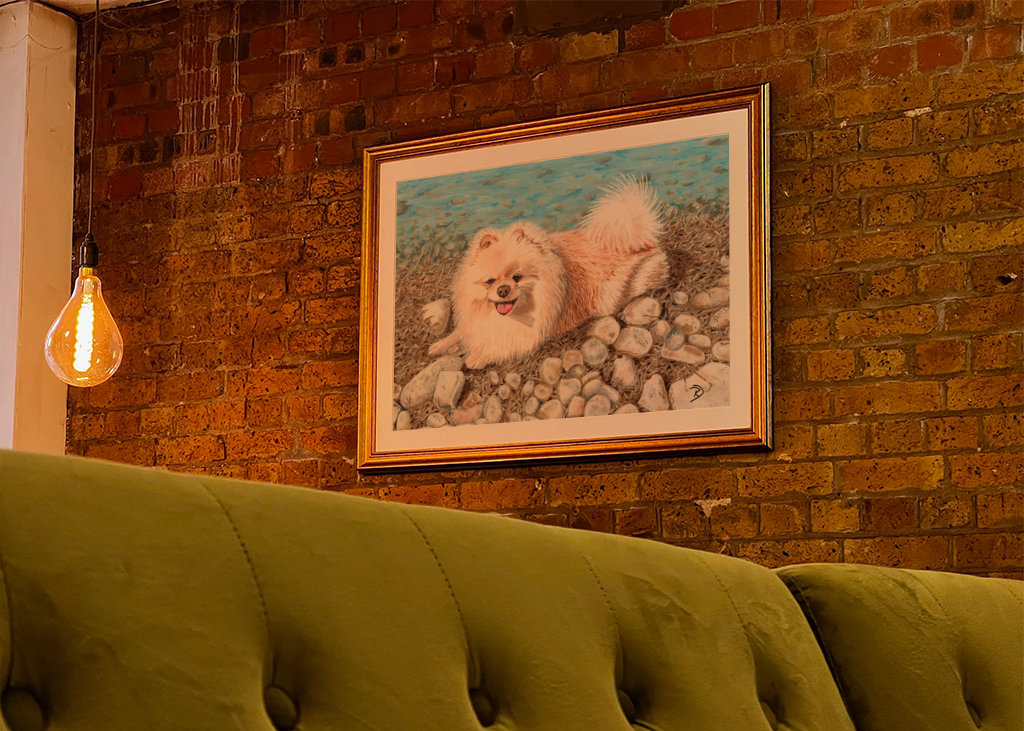 Pomeranian - Zwergspitz