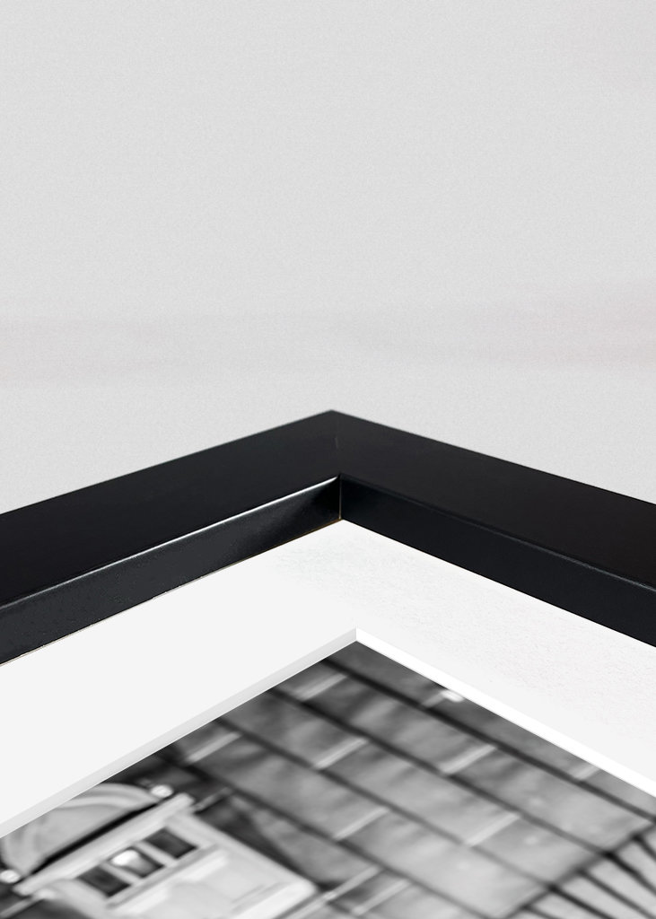 Brémští městští hudebníci 