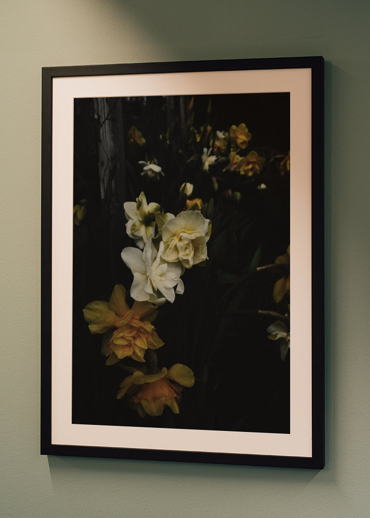 Aldrig nok påskeliljer