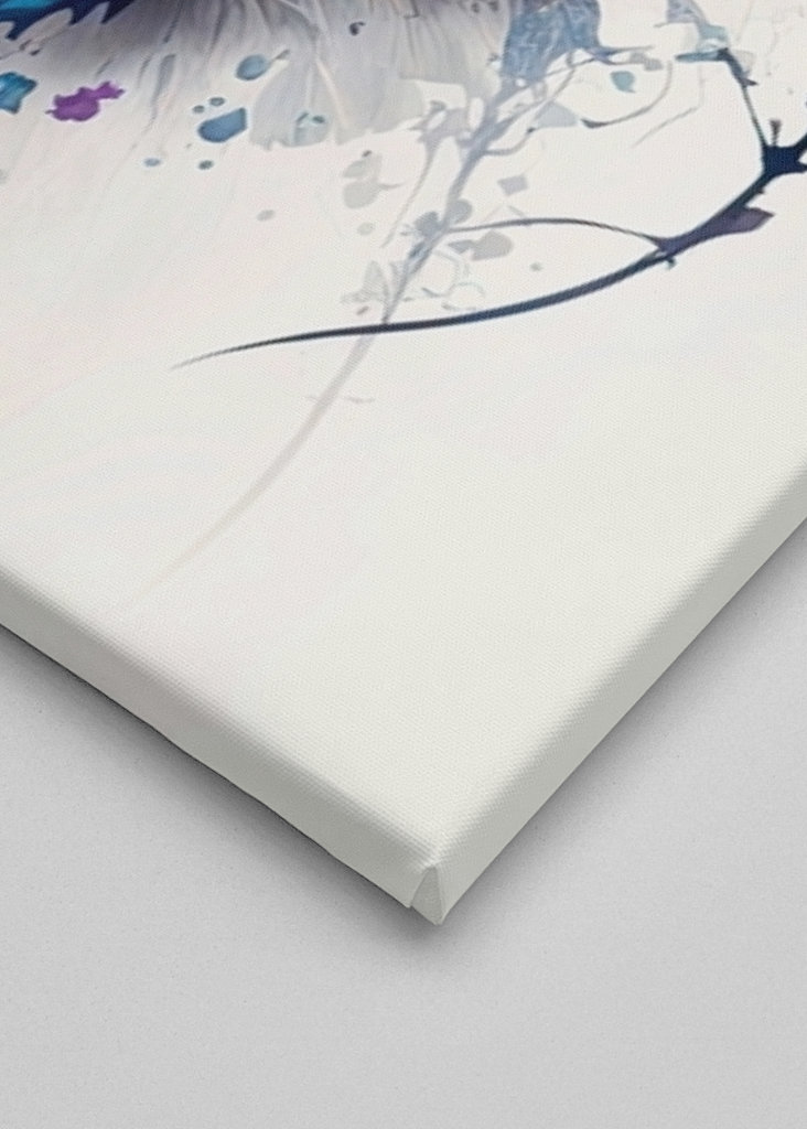 Schmetterling - AquaColor