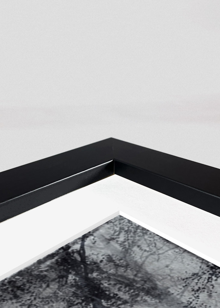 Touch Of red II - Tree Ghosts