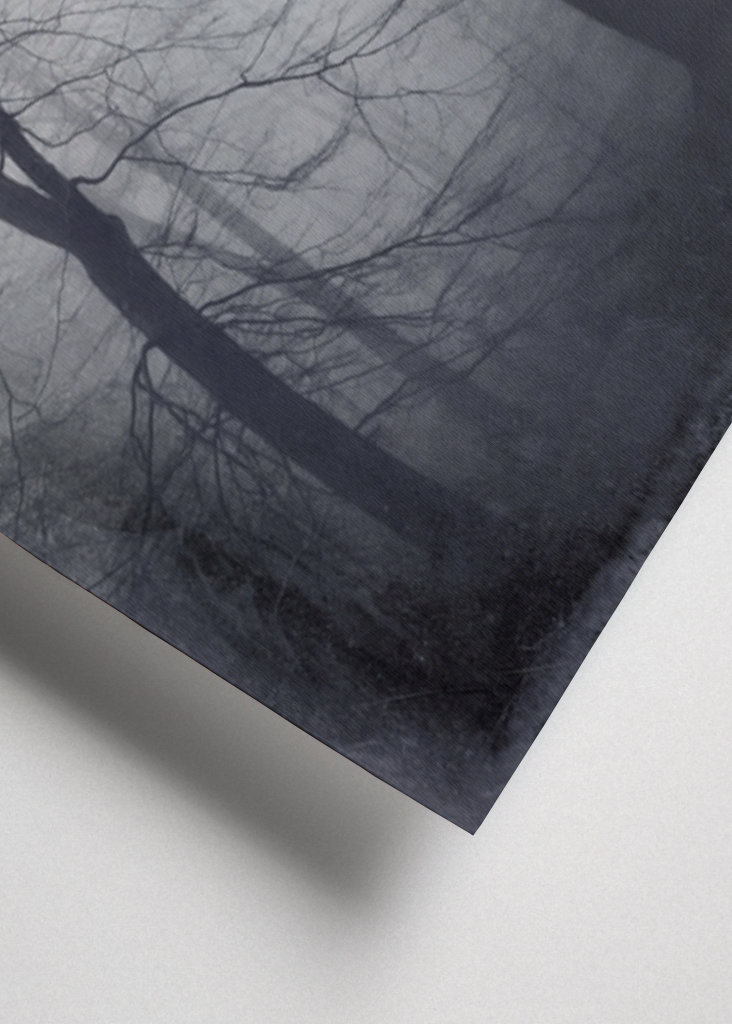 Touch Of red II - Tree Ghosts