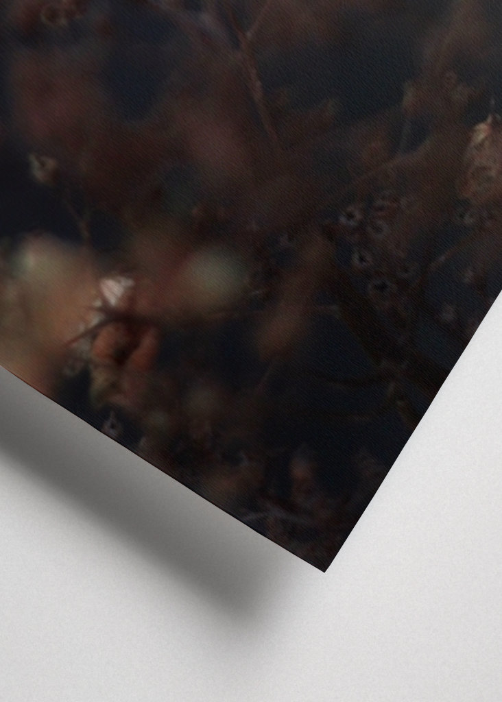 Auch verwelkte Blumen blühen 2