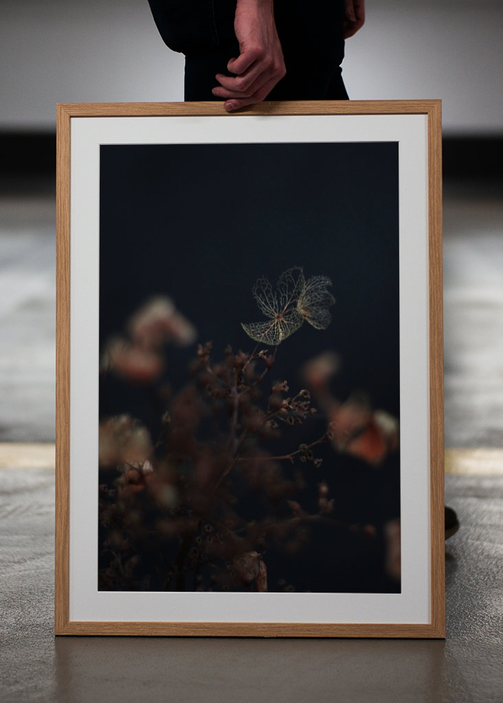 Auch verwelkte Blumen blühen 2