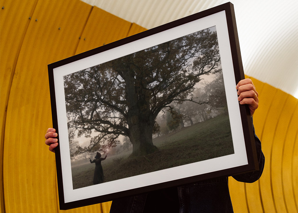 Die Hexe und der Baum. 