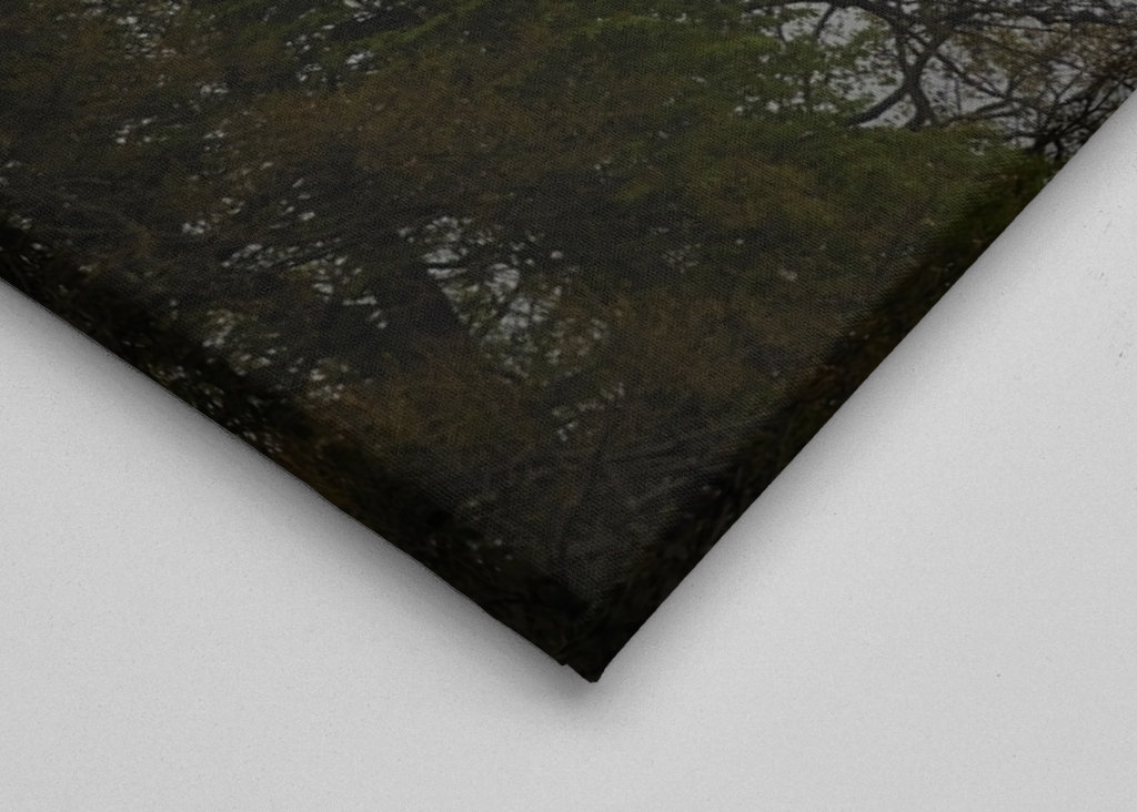 Socha lučištníka Drážďany