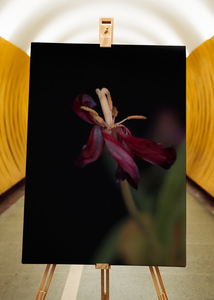 Sogar verwelkte Blumen blühen 1