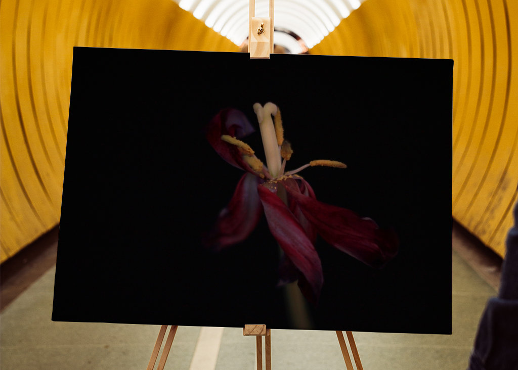 Withered flowers also bloom 4