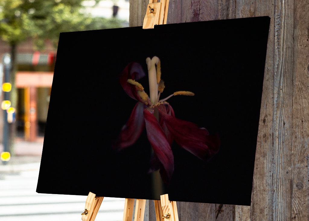 Withered flowers also bloom 4