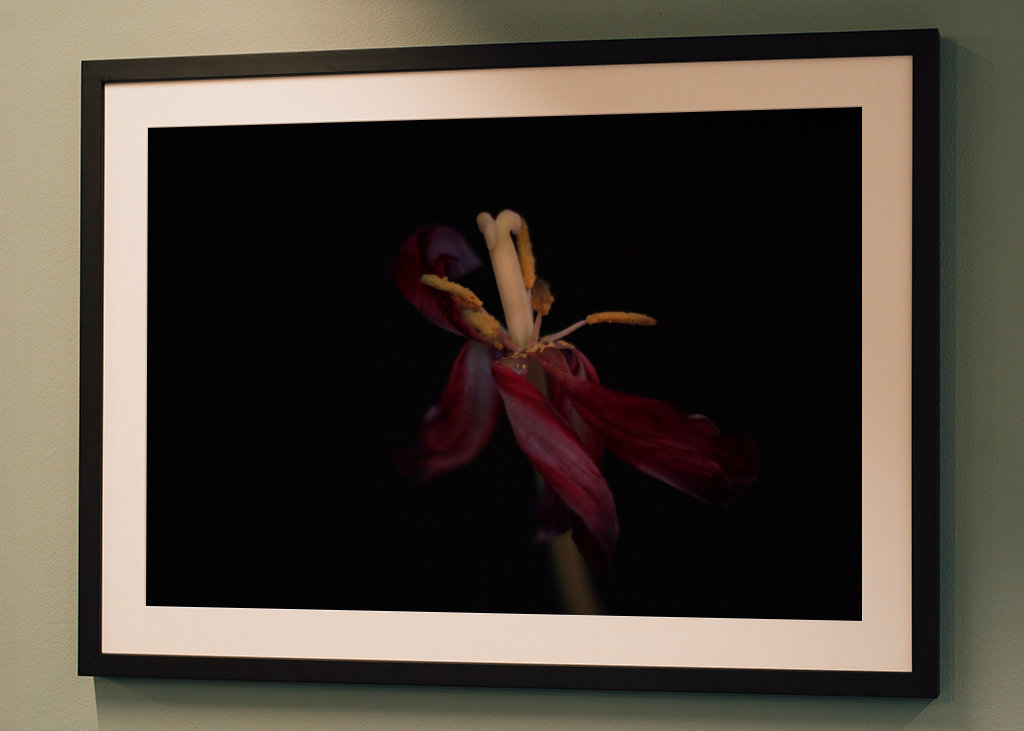 Withered flowers also bloom 4