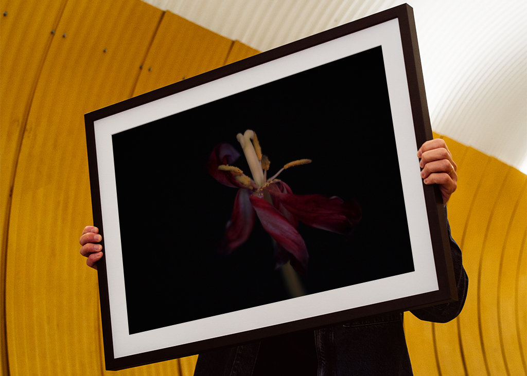 Withered flowers also bloom 4