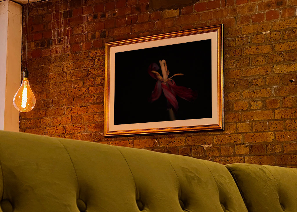 Withered flowers also bloom 4