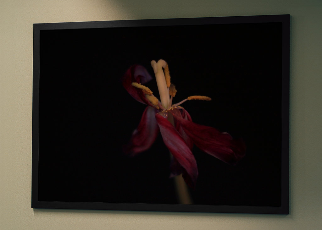 Withered flowers also bloom 4